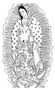 Il disegno mostra ben visibili gli elementi essenziali presenti nella tilma della Vergine di Guadalupe.