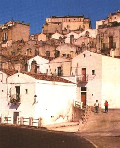 Houses